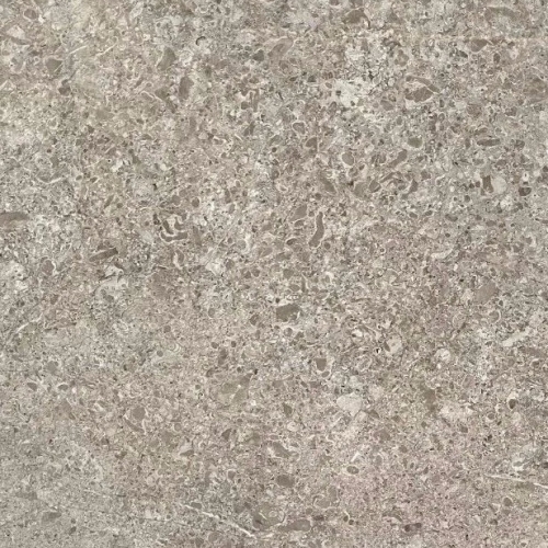 安格拉珍珠